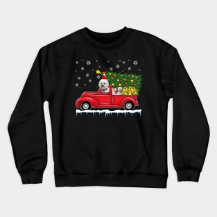 Red Truck pick up Bichon Frise Christmas  lover gift T-Shirt Crewneck Sweatshirt